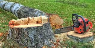  Carnesville, GA Tree Services Pros