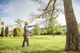 Best Aeration Services  in Carnesville, GA