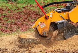 Best Firewood Processing and Delivery  in Carnesville, GA